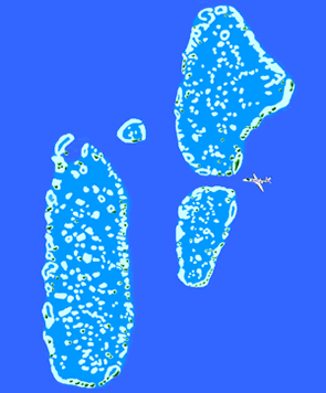 Ali Atoll