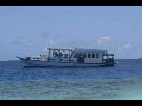 Maho Maeda 04 Island Safari